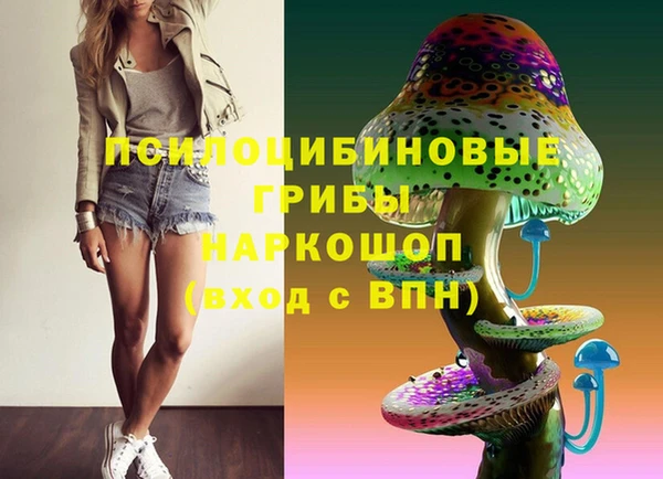 тгк Богданович