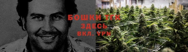 дурь Дмитриев