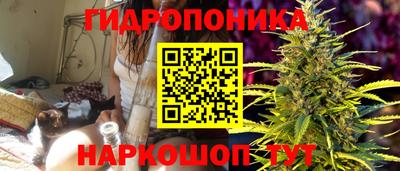 тгк Будённовск