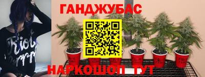 прущая мука Бузулук