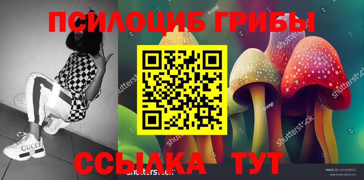 Галлюциногенные грибы Magic Shrooms Добрянка